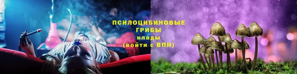 ALPHA-PVP Белокуриха